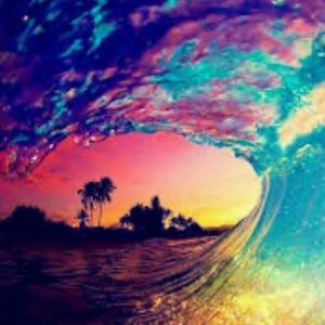 Meet your Posher, Jillian